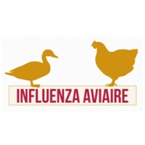Influenza aviaire - Renforcement des mesures